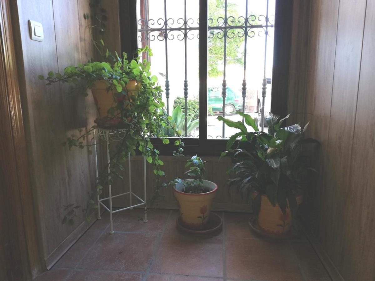 Hostal Brenaverde Gaucín Dış mekan fotoğraf