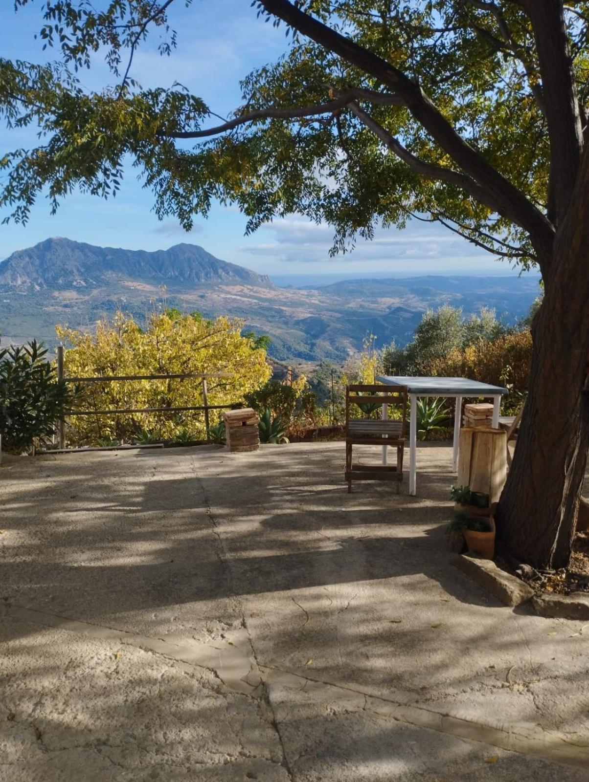 Hostal Brenaverde Gaucín Dış mekan fotoğraf