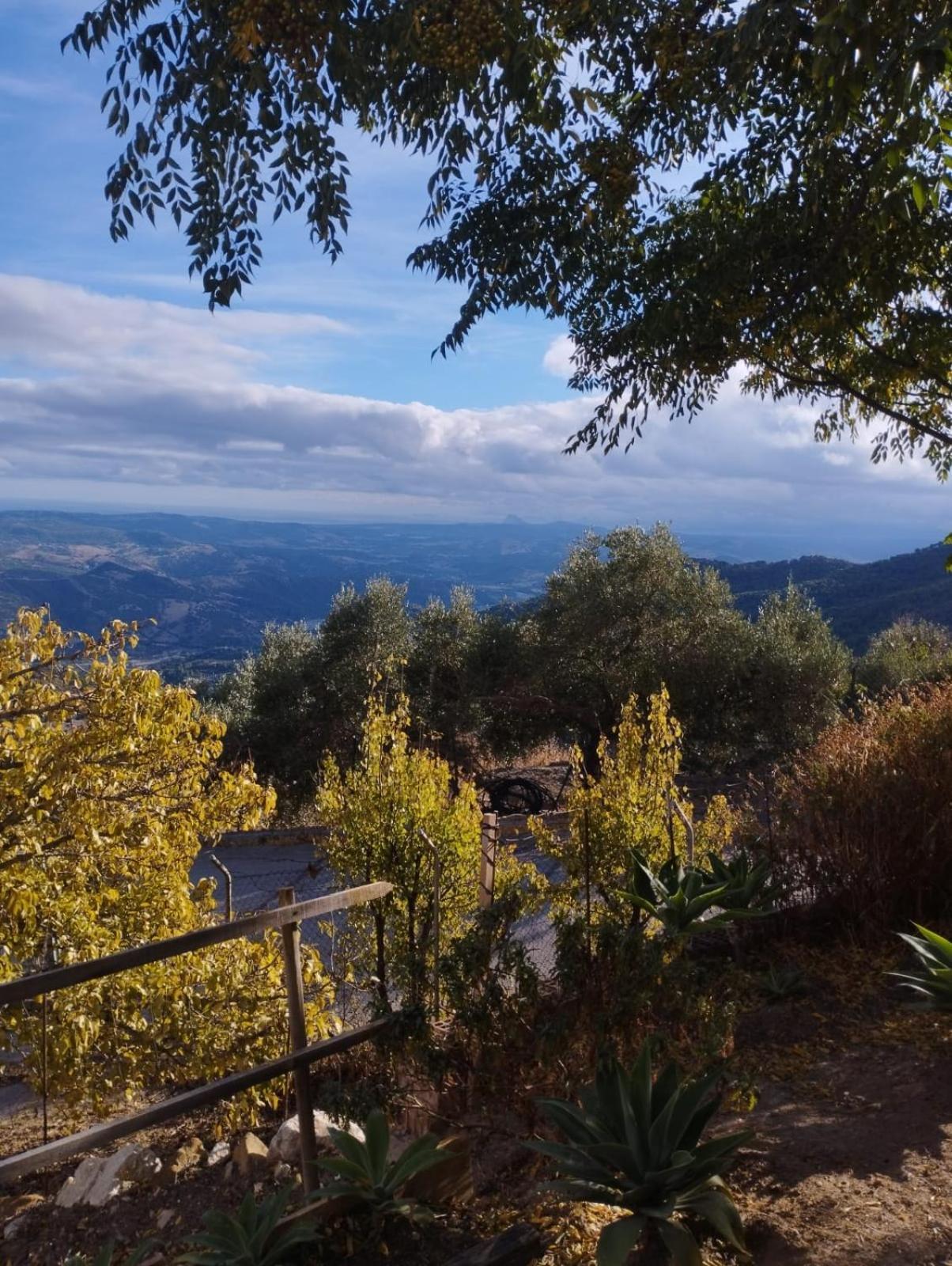 Hostal Brenaverde Gaucín Dış mekan fotoğraf